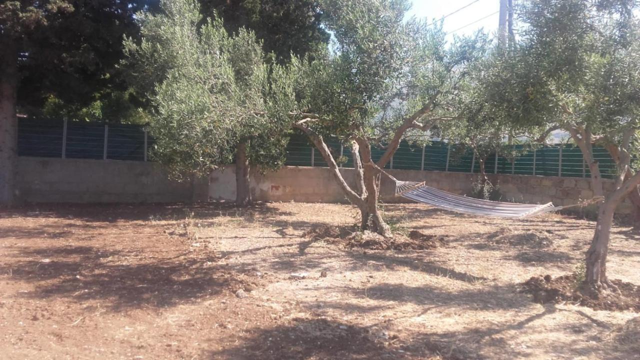 Giulicia B&B Valderice Dış mekan fotoğraf